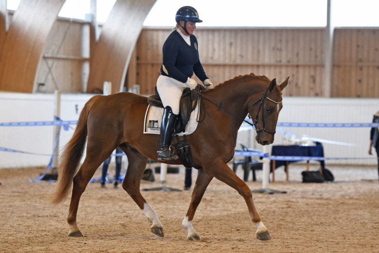 Spretig syskonskara kompletterades med dressyrtopp