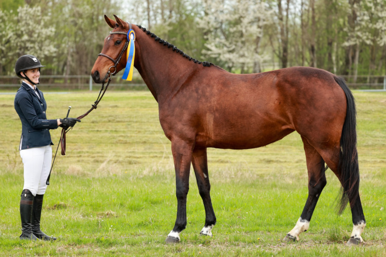 Temperamentsfull talang toppade