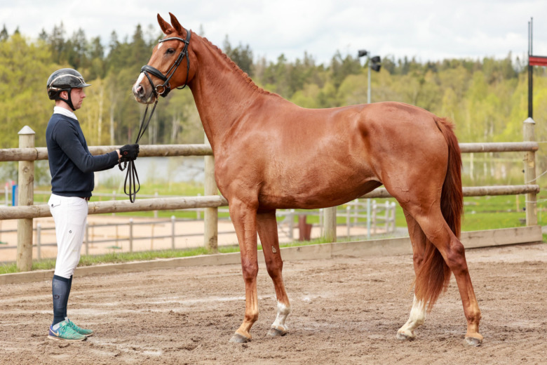 Mistral i en klass för sig