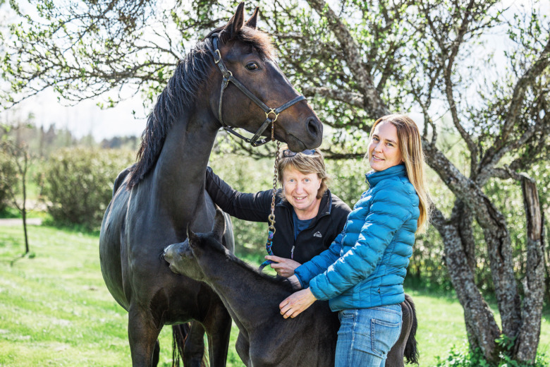 Uppfödarna som gick ihop