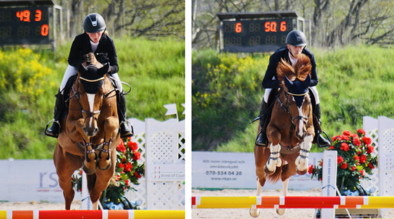 Vinnare återkommer i nya unghästserien