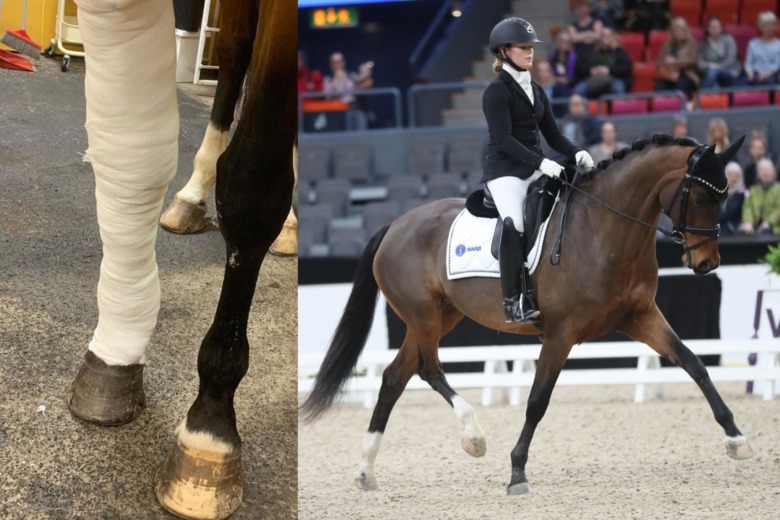 Inget Falsterbo för Lina Dolk – Hatti skadad