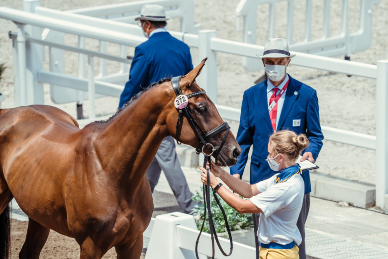 Svenska fälttävlanshästarna har fått grönt ljus i Tokyo