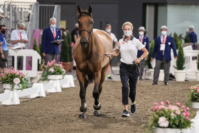 Svenska hopphästarna dansade genom besiktningen