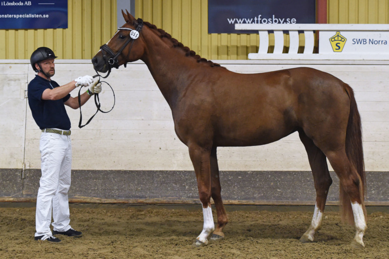 Korvette imponerade i Osby