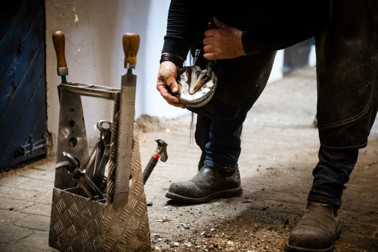 Hovslagare döms för felaktig verkning