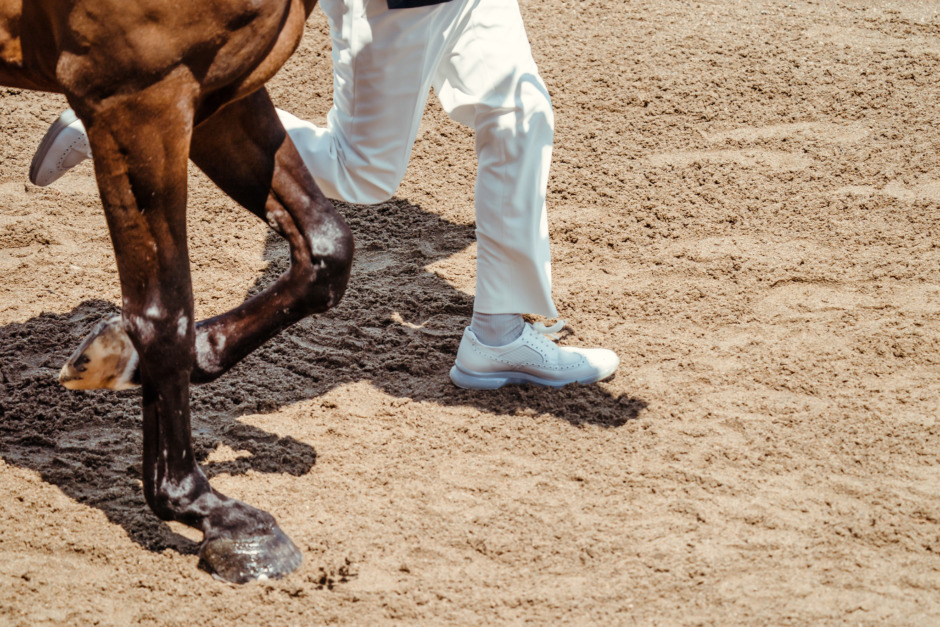 Dressyrryttare allvarligt skadad vid hästbesiktning på tävling