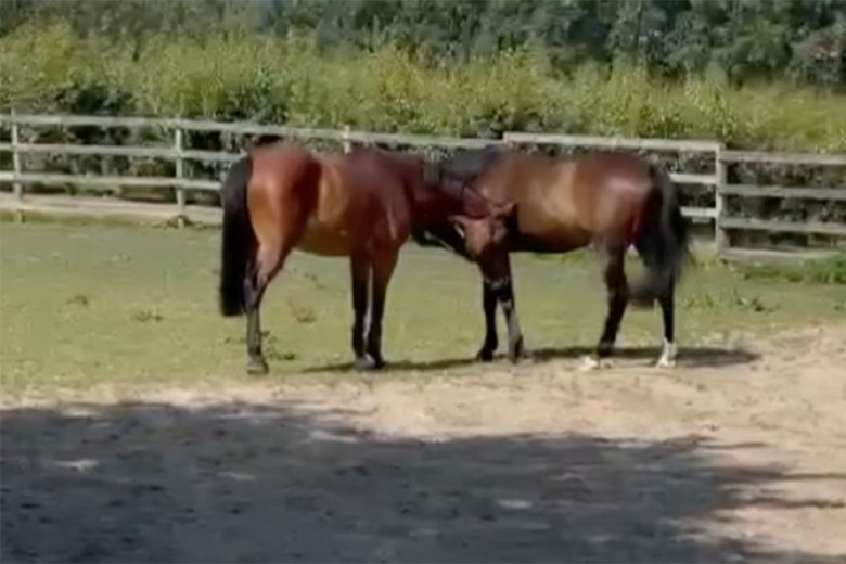 Kolla klippet: All In hemma igen