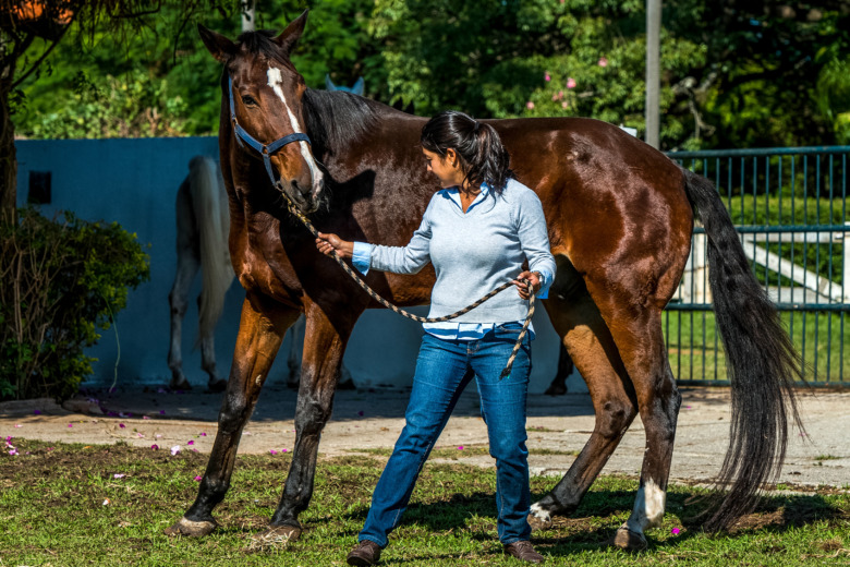 Ny skala för att gradera fång
