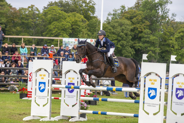 Hoppningen lyfte Sverige på JEM – tysk guldtriumf