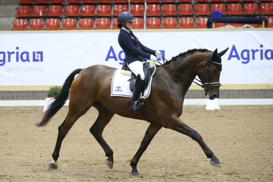 Lag-SM i dressyr inleds med kval