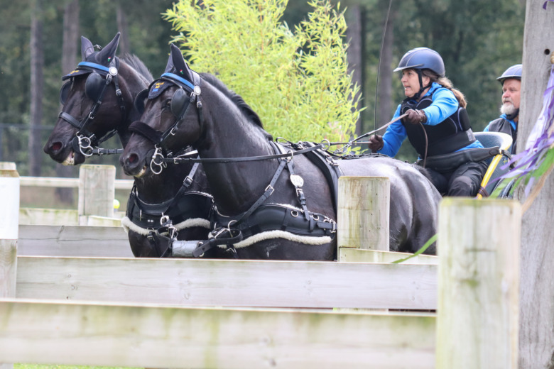 Blygsamma svenska VM-resultat