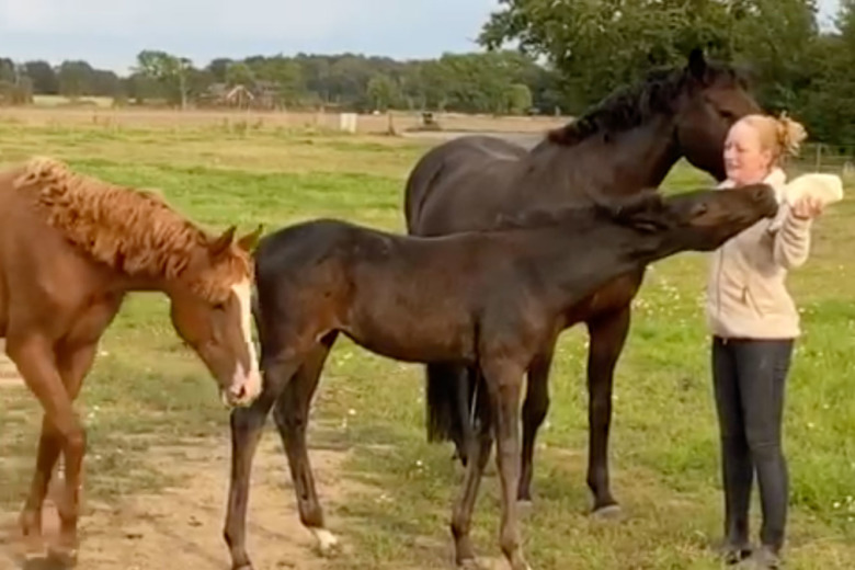 Flaskmatade moderlösa Lillis trots alla varningar