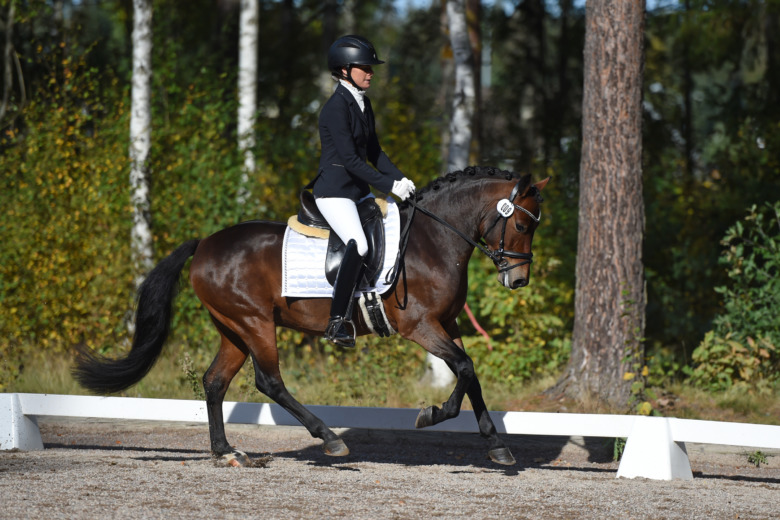 Islandshästryttare segrade i ungponnychampionatet