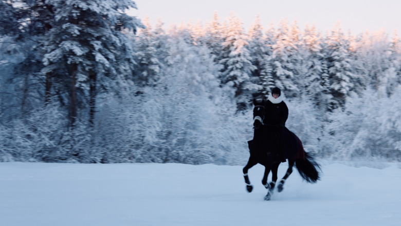 Ny dokumentär: Elisa och drömhästen
