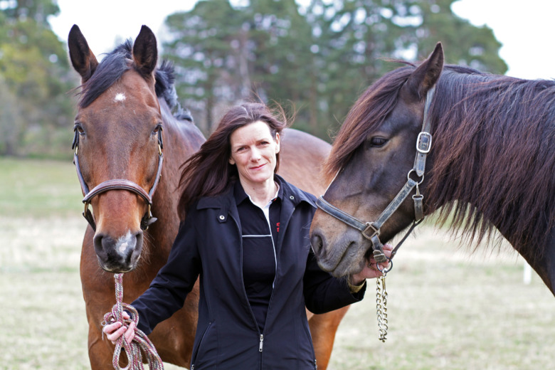 Normalt smittläge – men ökad oro i stallen