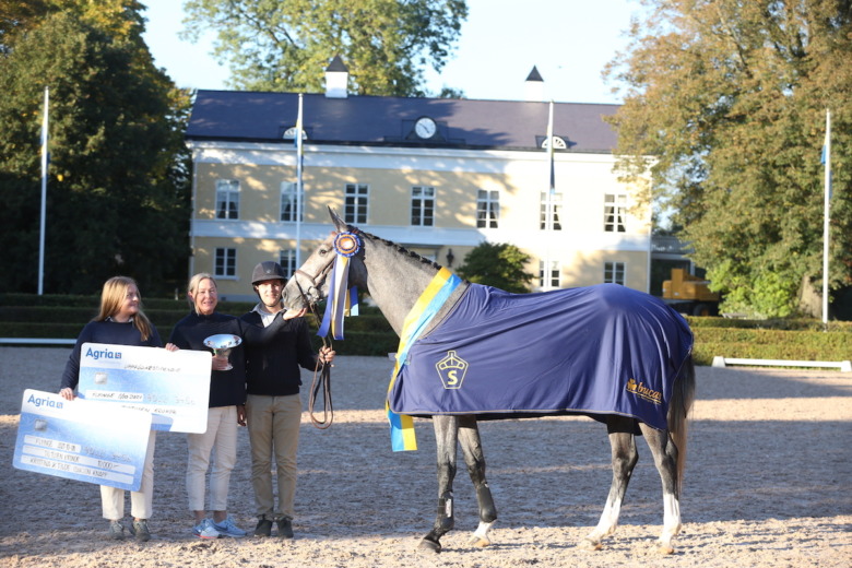 Söndag på Breeders i hoppning