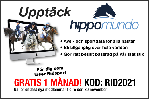 Hippomundo_webb