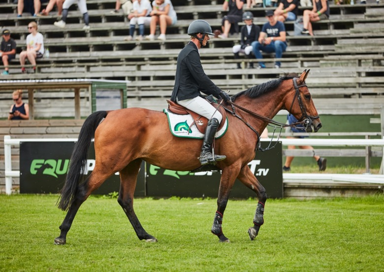 Ny häst till Peder Fredricson