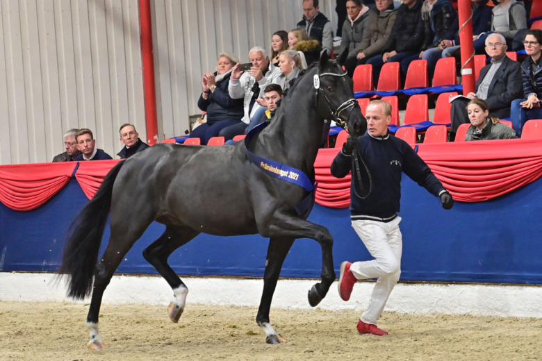 Svensk succé vid Oldenburgs premiering