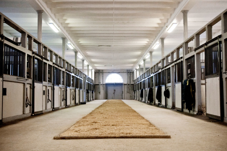 Oklar framtid för hingststationen på Flyinge