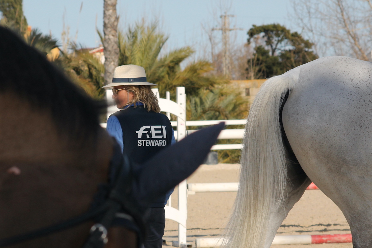 Fei-steward