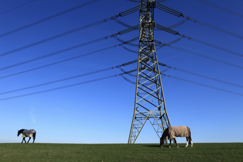 Rekordhöga elräkningar slår mot ridklubb