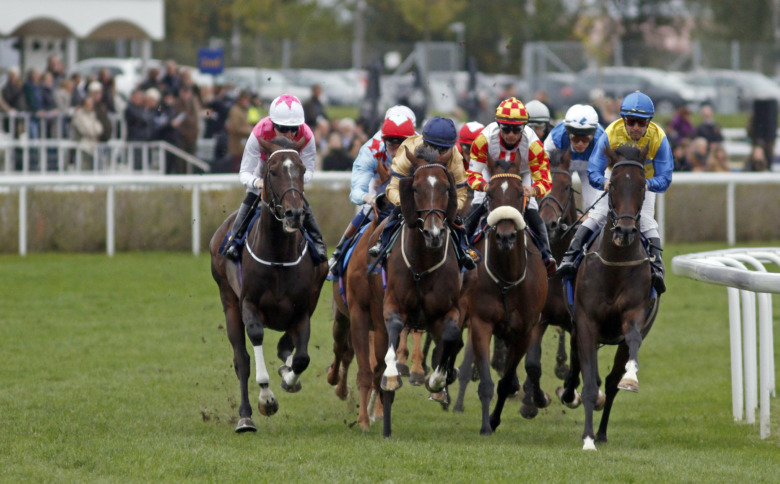 Sju hästar döda i samband med anrikt derby