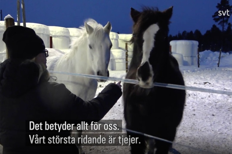 Nedläggningshotad ridklubb räddad av kommunen