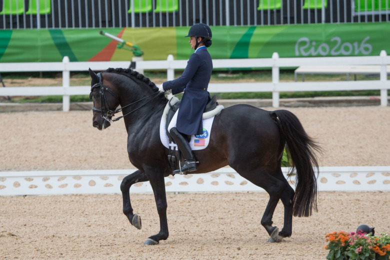 Två hingstar höjda till Elit