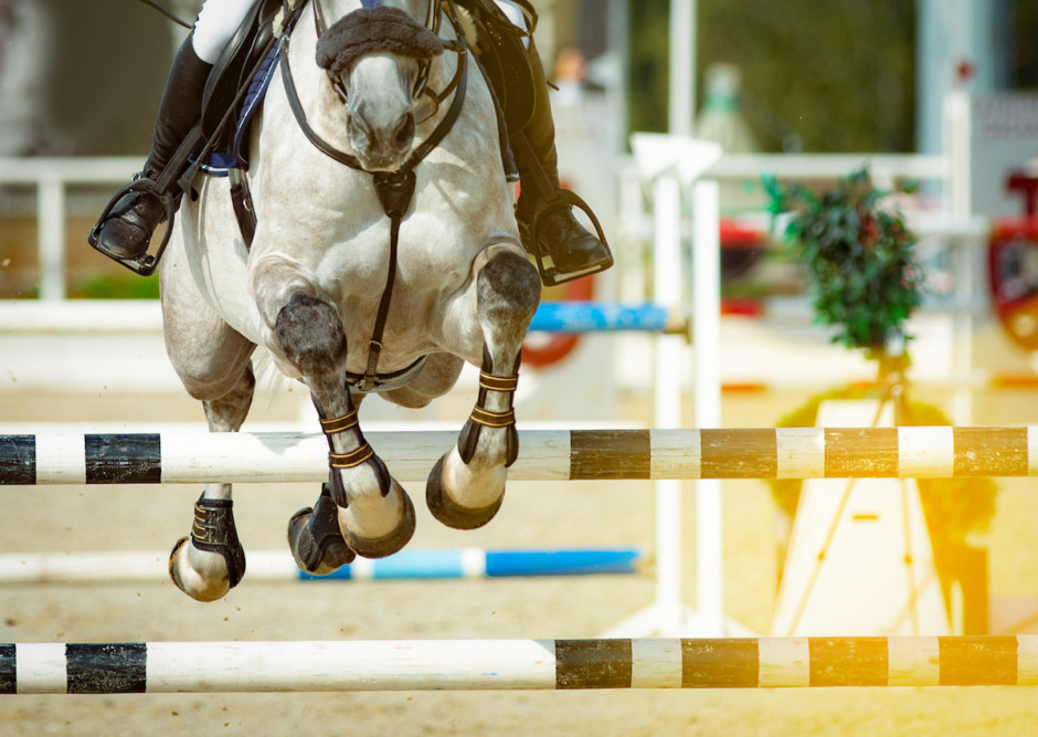 Kan hästar drabbas av hopparknä?