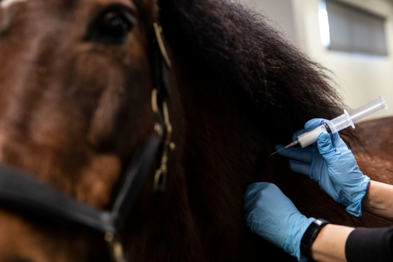 ”Ett sådant penicillin står högt upp på önskelistan”