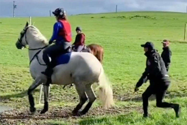 Åskådare vittnar om Mark Todds agerande i piskvideon