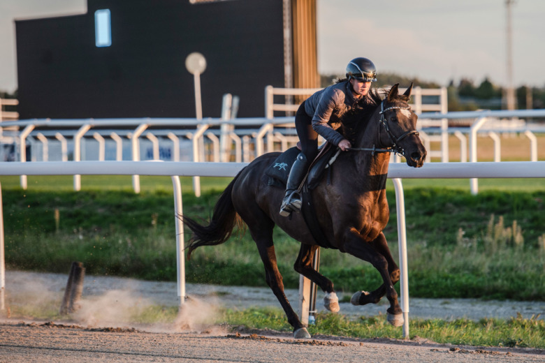Träning i full galopp