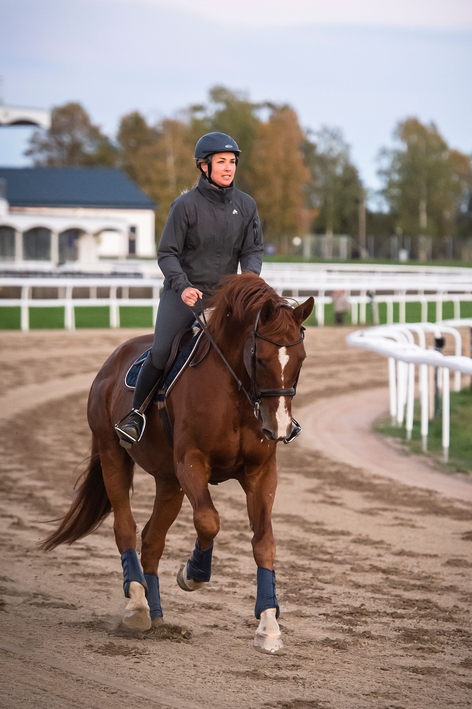 Traningtips_galopp_15