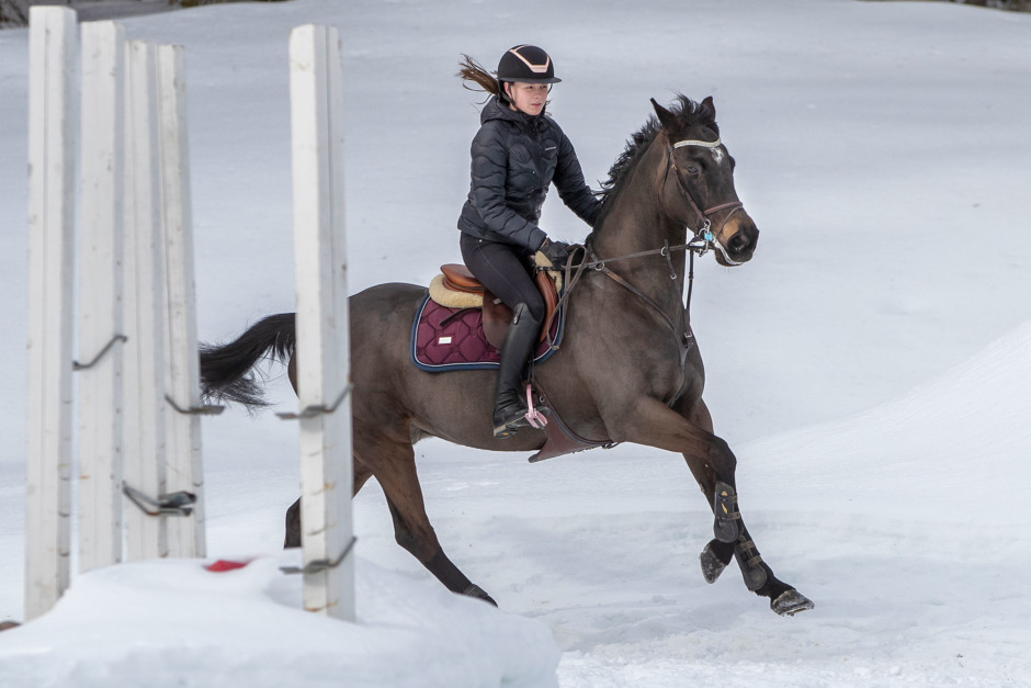 I norr prioriteras fästet
