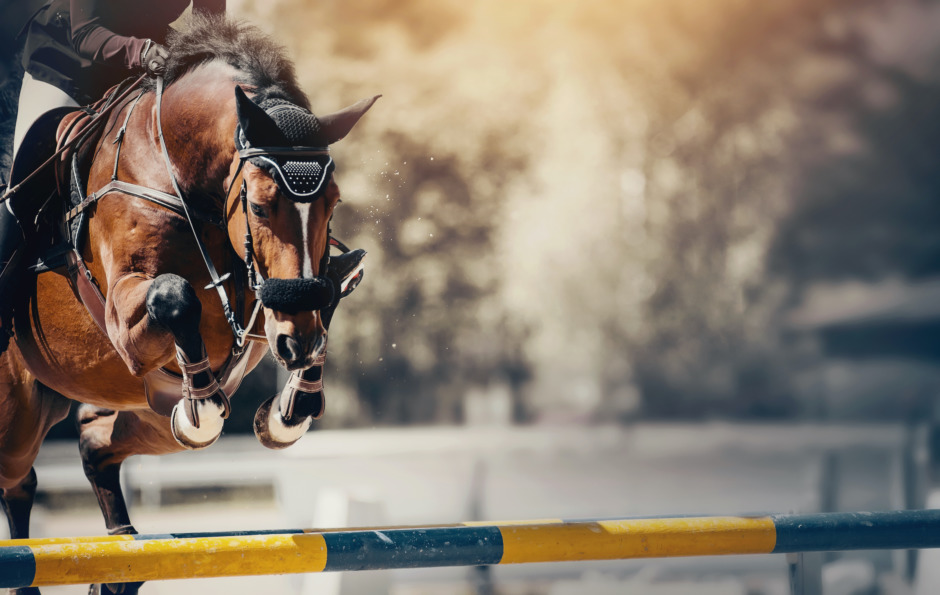 Ryska och belarusiska ryttare och hästar portas från FEI-tävlingar