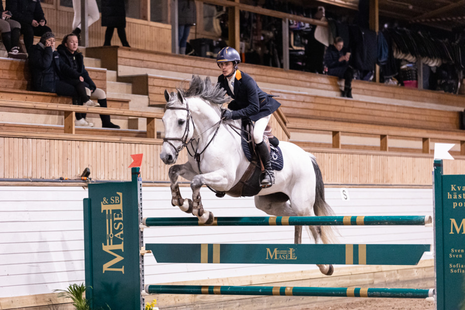 Linus Herzig satsar allt med sin Greyson: ”Att man kan fästa sig så vid en häst”