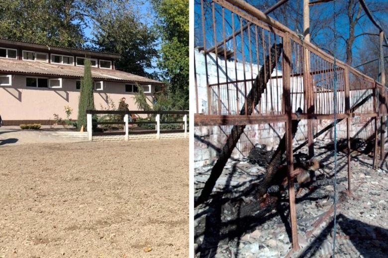 ”Vi hade allt, men visste bara inte om det”