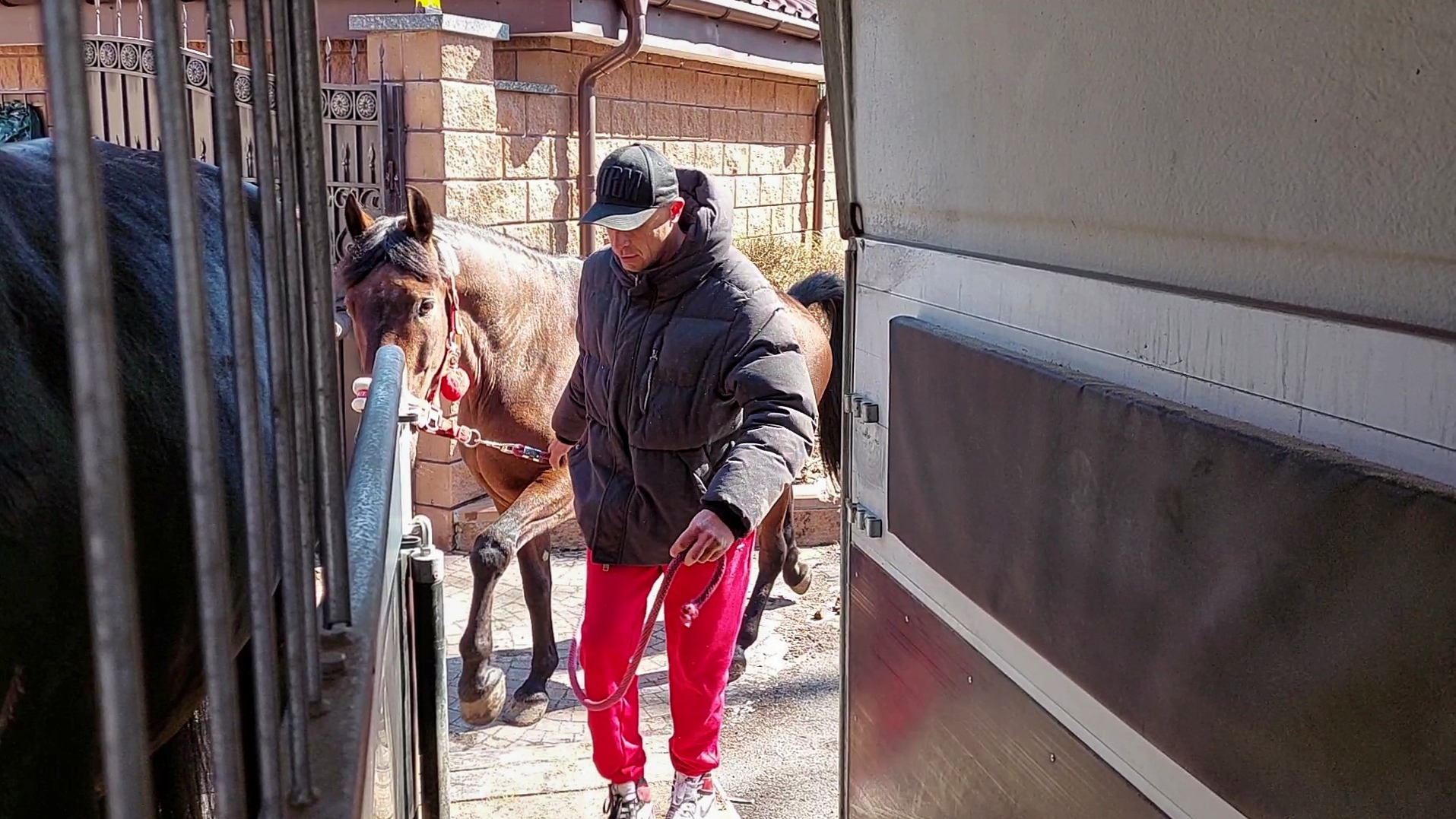 11. Valeriy Loads The Horse For Transportation