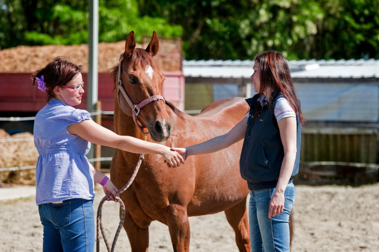 Större krav på hästköparen med ny lag