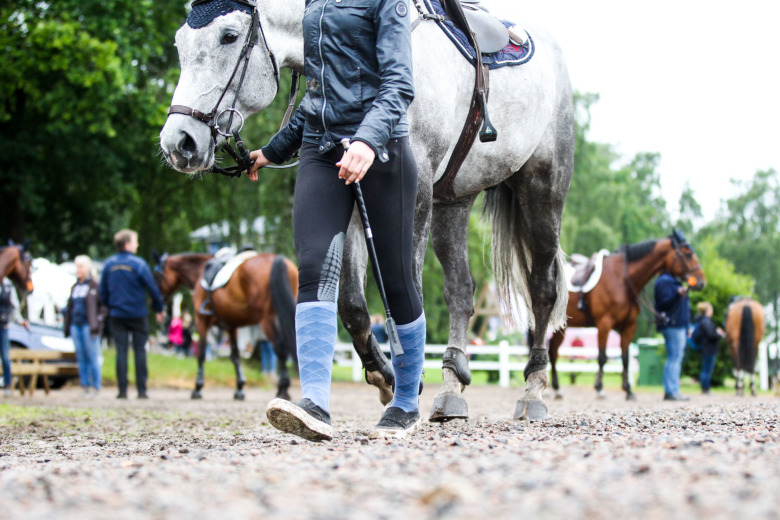 Nu öppnas TR 2027 – här är din chans att påverka ridsportens regler