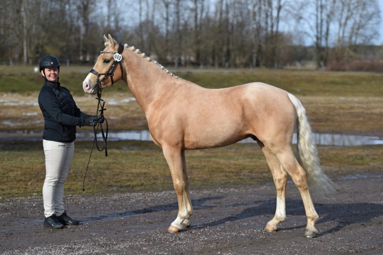 Kolla klippet: Toppresultat för ASRP:s bruksprovsvinnare