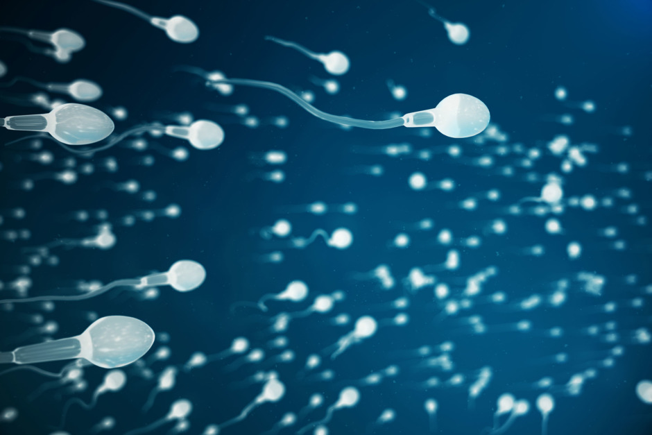 Vissa bakterier gynnar spermakvaliteten