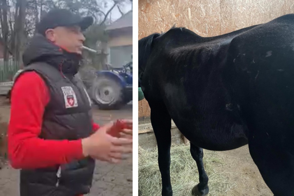 Landslagsgroomen räddade 14 hästar från mardrömmen i Butja