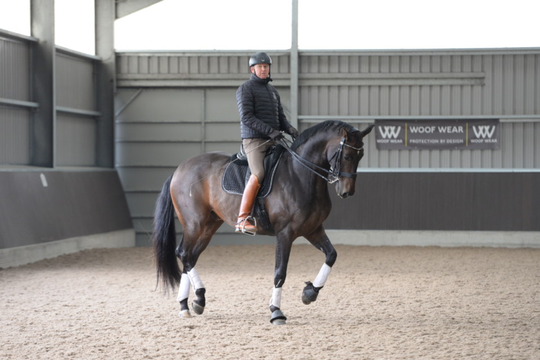 En Vogue skadad – Carl Hester får låna annan ryttares topphäst