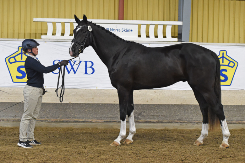 Per-Arne Perssons framgångsfamilj växer