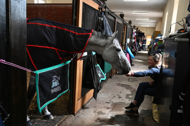 Tom JacksonÕs Capels Hollow Drift For Great Britain In The Stables At Badminton