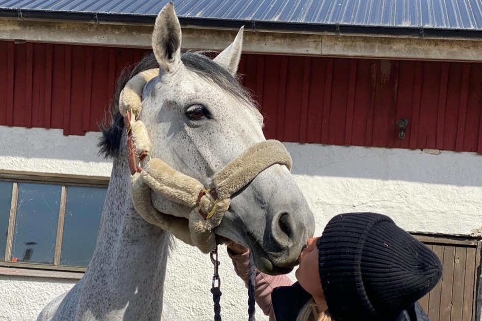 Nellie Berntssons 1,50-häst får ny ryttare