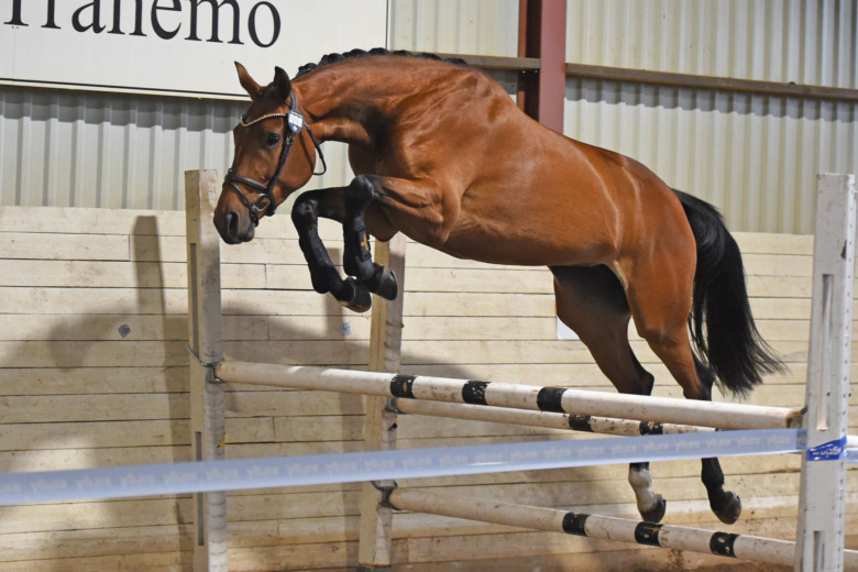 ”Många hade blivit glada av att äga en Limit”
